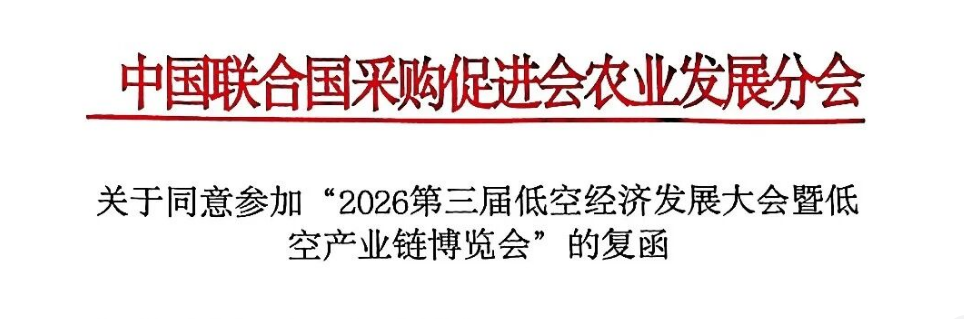 <i><strong>权威协办,聚力赋能 | 共启第三届低空经济发展大会</strong></i>
